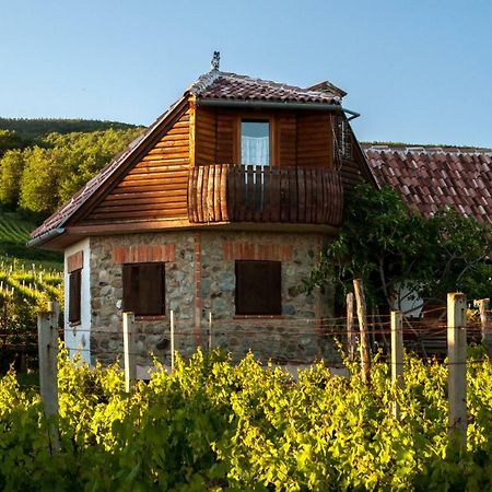 Robinson Vila Kitokret Kutjevo Luaran gambar