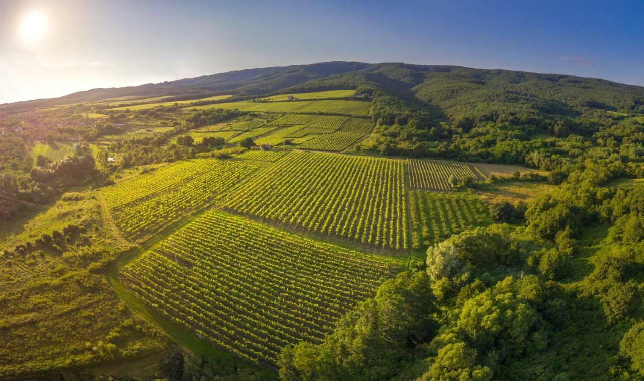 Robinson Vila Kitokret Kutjevo Luaran gambar