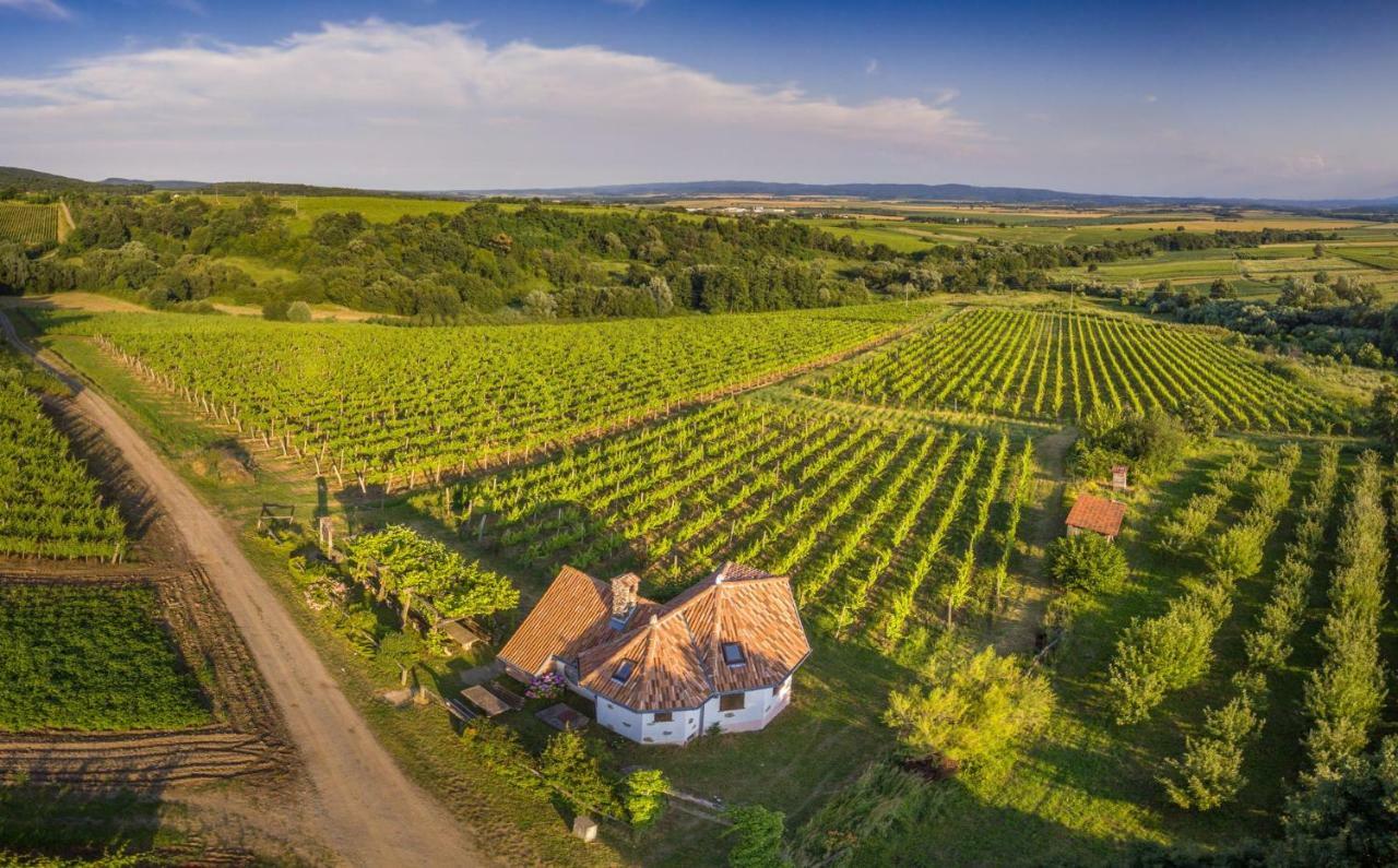 Robinson Vila Kitokret Kutjevo Luaran gambar