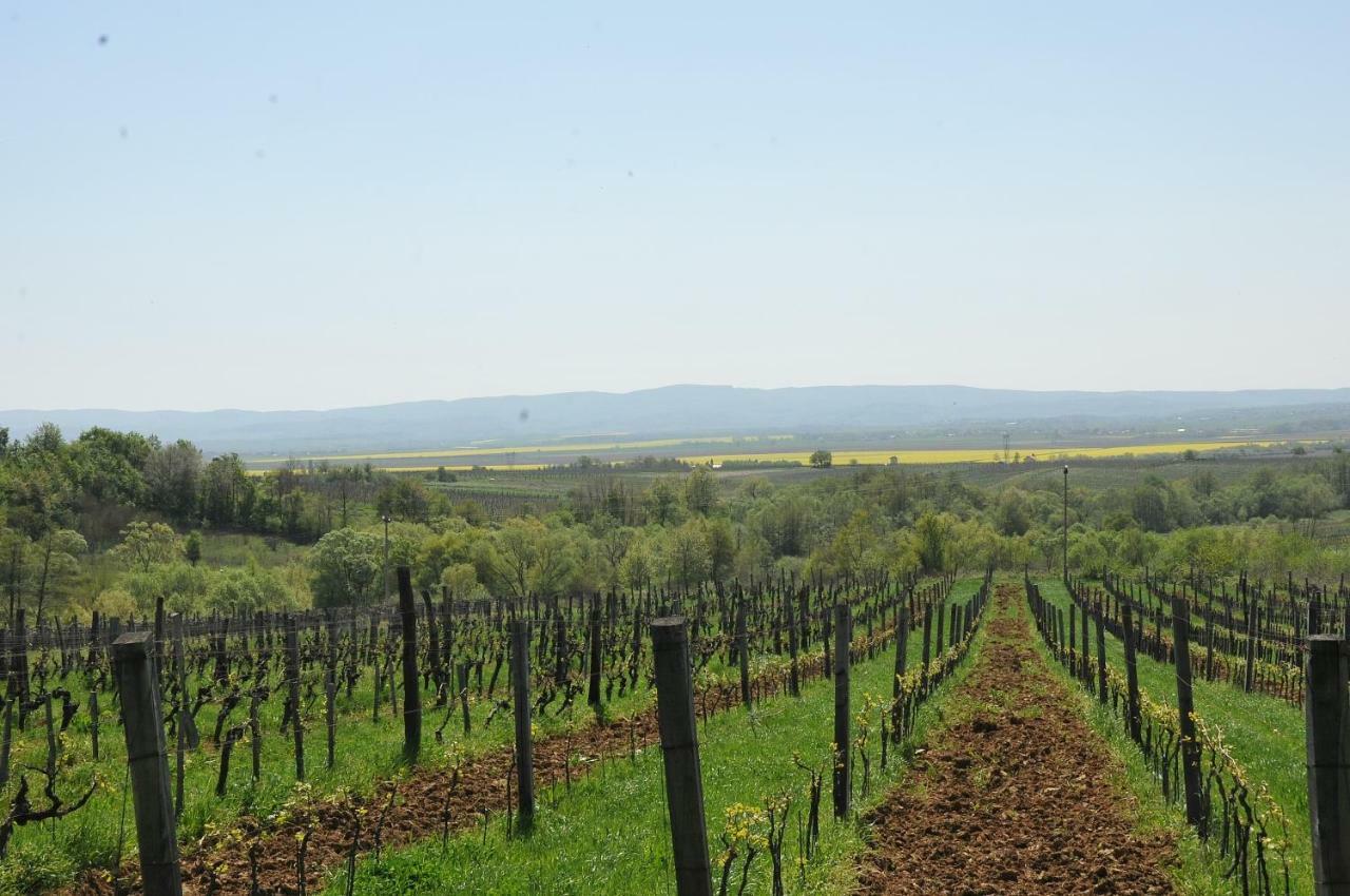 Robinson Vila Kitokret Kutjevo Luaran gambar